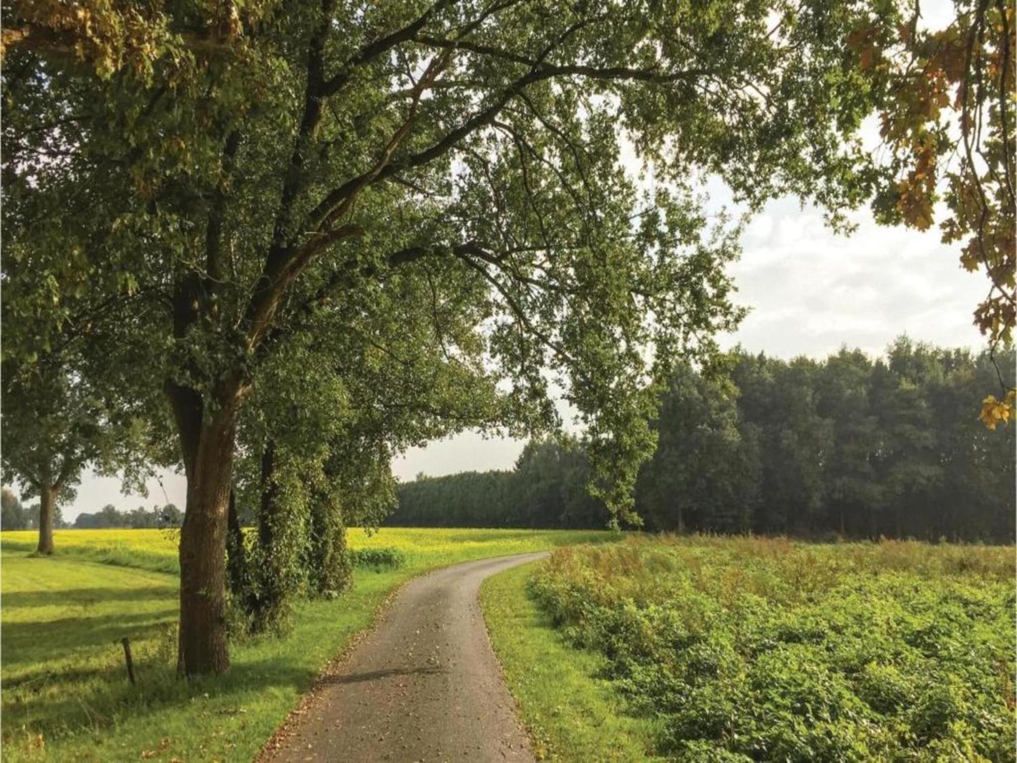 Vila Monumental Farm In The Ash Landscape Geesteren  Exteriér fotografie