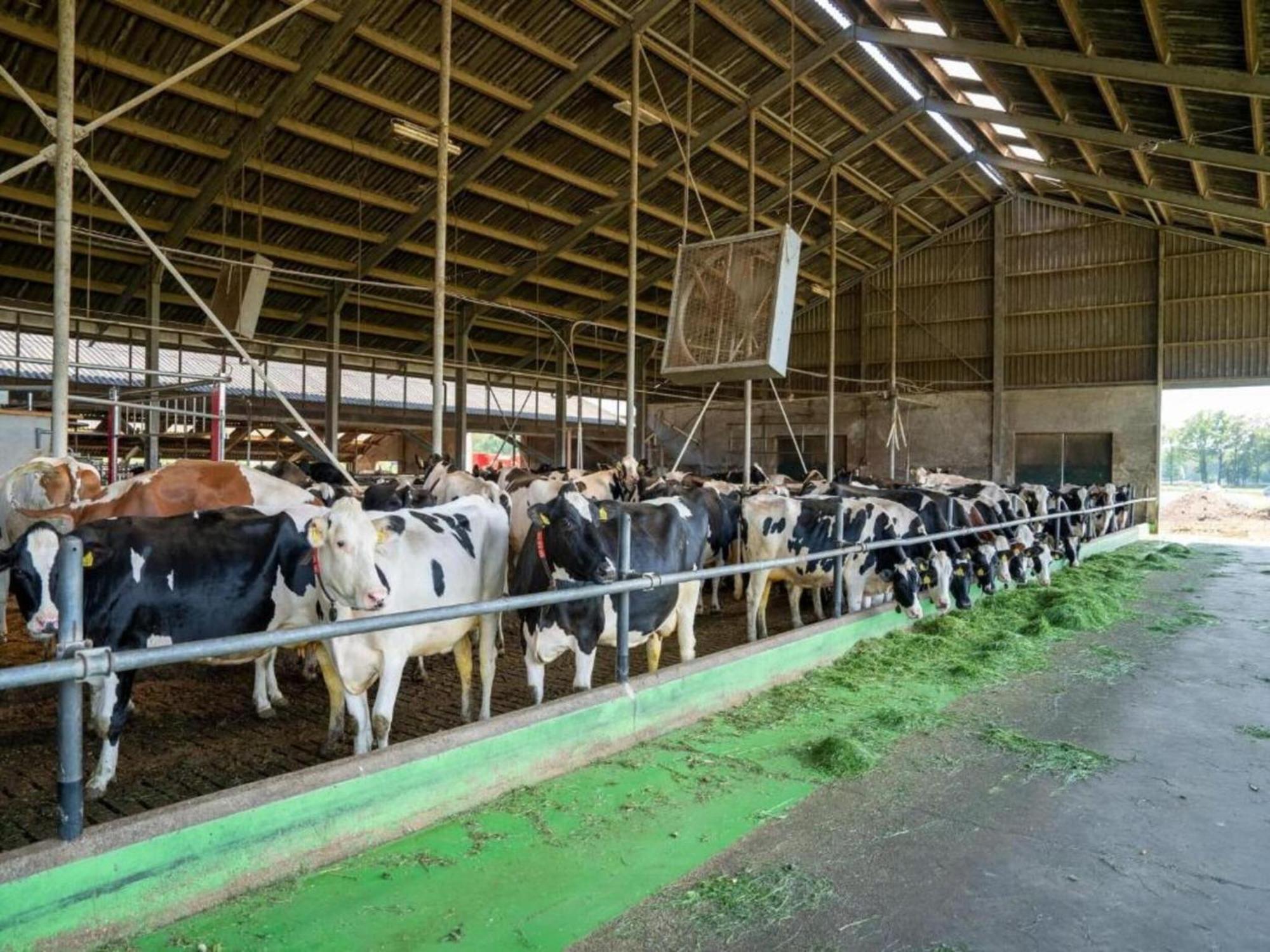 Vila Monumental Farm In The Ash Landscape Geesteren  Exteriér fotografie