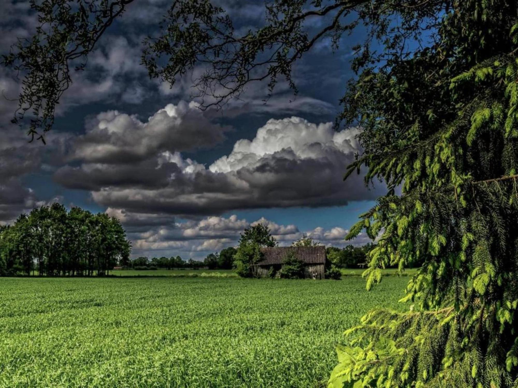 Vila Monumental Farm In The Ash Landscape Geesteren  Exteriér fotografie